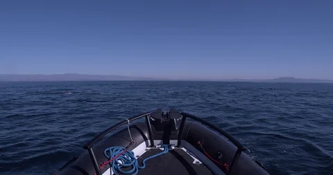 White sided dolphins cavort on surface slow motion Stockbeeldmateriaal 119071805