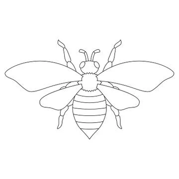 White silhouette of the bee. Stock Illustration