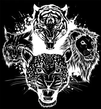 White silhouette of big cats vector set. Illustration of cougar, jaguar, leopard Stock Illustration