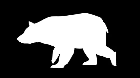 White silhouette of a moving bear. Alpha channel. Alpha matte. FullHD. Stock Footage 98591809