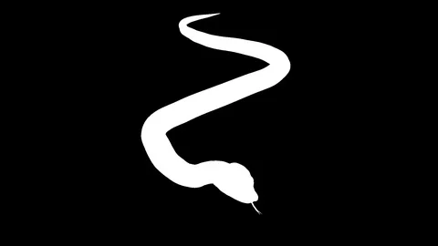 White silhouette of a python. Alpha channel. Alpha matte. FullHD. Stock Footage 104137977