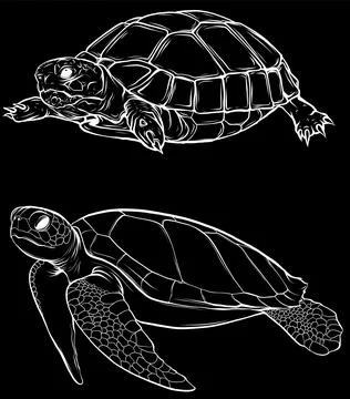 White silhouette of vector illustration of cute turtle set on black background Stock Illustration