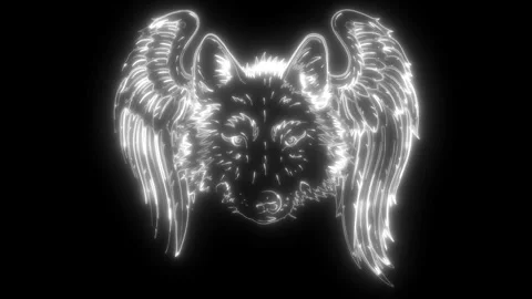 White silhouette of wild wolf or husky sled dog head and wings portrait on black Stock Footage 276155164