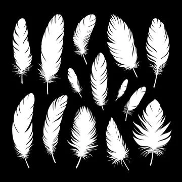 White silhouettes of bird feathers of different shapes and sizes. Large set.. Stock Illustration
