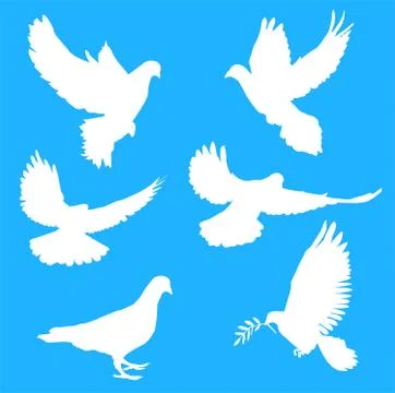 White silhouettes of doves Stock Illustration