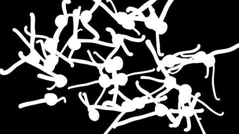White Silhouettes of People Falling Together in a Continuous Motion on Blac.. Stock Footage 340915190