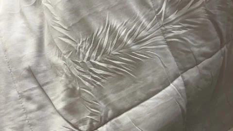 Off-White Silk Fabric with Leaf Pattern Texture, Slow Push-In Stock Footage 333223183