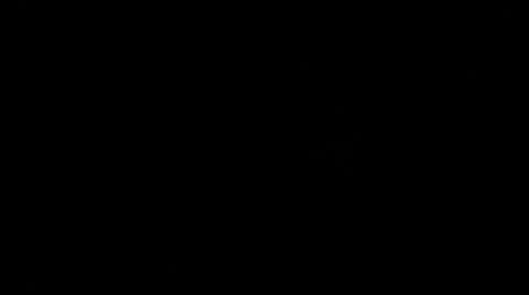 White single flash 2 Stock Footage 25605619