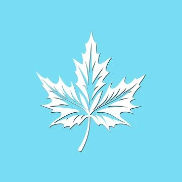 White single maple leaf on blue background Illustrazione stock