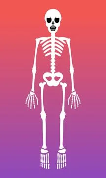 White Skeleton Cartoon Vector Stock Illustration
