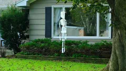 A white skeleton hangs on a tree of the house, yellow pumpkin for Halloween Stock Footage 219237113