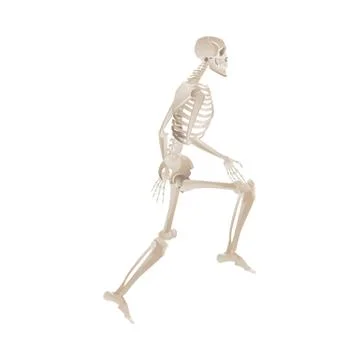 White skeleton running motion Stock Illustration