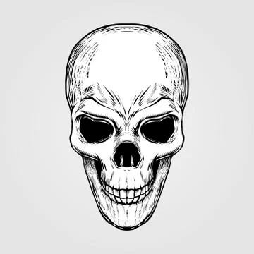 White skeleton skull head design Stock Illustration