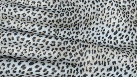 White skin of a leopard in motion. Stock Footage 103580118