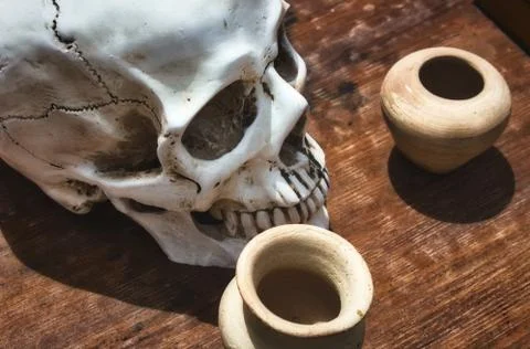 White skull and bowls on a medieval apothecary's table Stock Photos