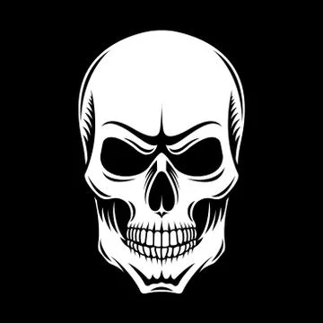 White skull on a black background Stock Illustration