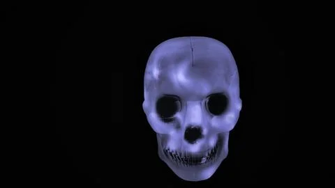 White skull on black background Stock Photos