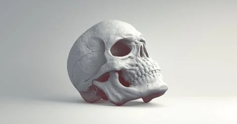 White Skull with Dark Red Shadow on a Grey Studio Background. Stock Illustration