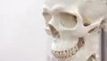 White skull HD Footage