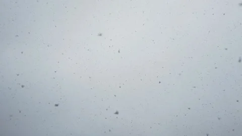 A white sky with beautiful white snow flying on it. Beautiful snow flying in Stock Footage 309022189