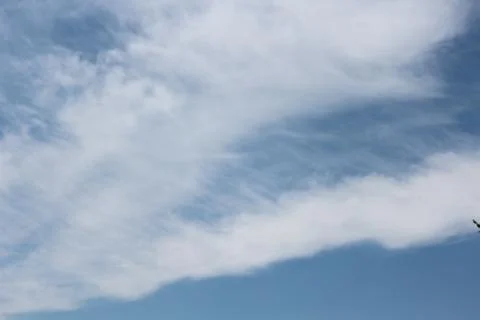 White sky Stock Photos