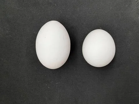 White small and big eggs on black background Stock Photos