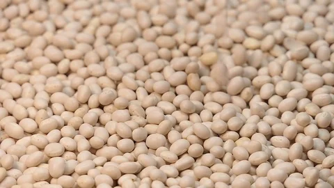 White small bean falling from top in slow motion 96 fps Stock Footage 108173023