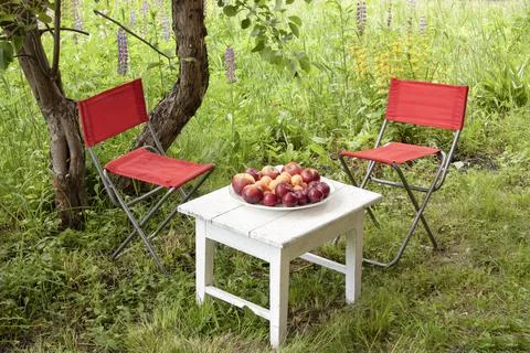 White small table, red folding chairs made of fabric on the grass Stock Photos