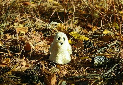 A white smiling ghost toy stands among the fallen leaves in the autumn forest Stock Photos