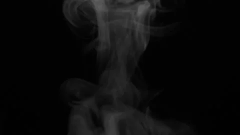 White Smoke Alpha Channel Loop Transparent Overlay Element Stock Footage 334064902