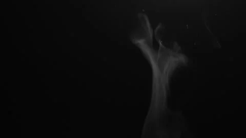 White Smoke Alpha Channel Loop Transparent Overlay Element Stock Footage 334065123