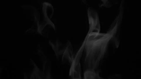 White Smoke Alpha Channel Loop Transparent Overlay Element Stock Footage 334065419