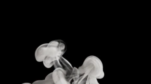 White Smoke Background 스톡 일러스트