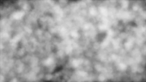 White Smoke Background Loop Stock Footage 104209070