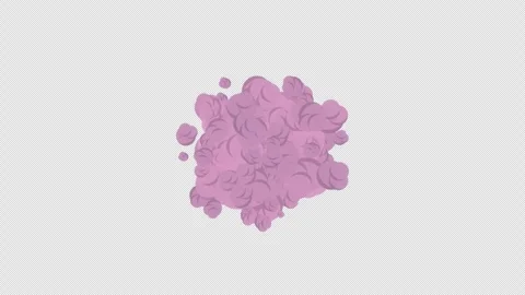 White Smoke Bomb with Alpha Channel 4K Video stock 311433583