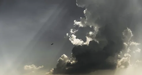 White smoke like clouds on a black sky background timelapse footage. Stock Footage 113950462