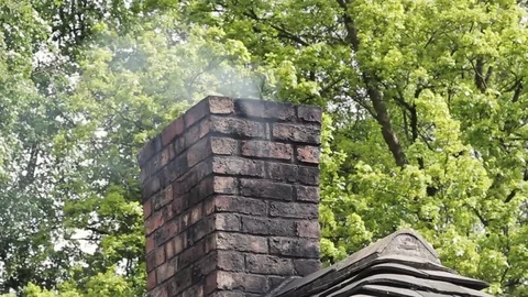 White smoke flows from stone chimney in lonely cottage in the woods, green trees Stock-Footage 73513571