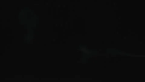 White smoke flutters thinly on a black background. Stock Footage 277433284