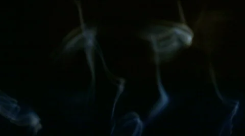 White Smoke Stock Footage 729695