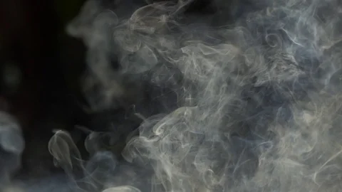 White Smoke In Front Of Black Backround Stock Footage 122269926