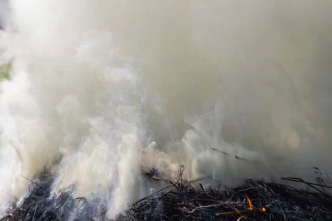 White smoke a large from the fire Stock Photos