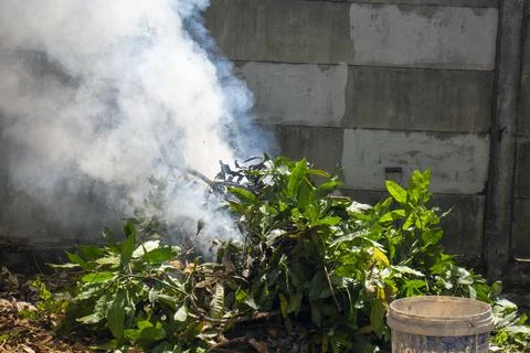 White smoke Stock Photos