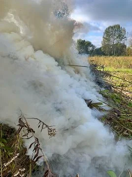 White smoke Stock Photos