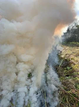 White smoke Stock Photos