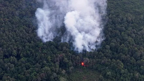 White smoke rises over dense green forest Stock-Footage 337987188