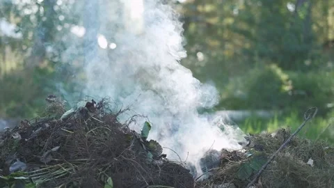 White smoke. Sun Light and Fog. Real fire smoke exploding outdoors against Stock Footage 317662491