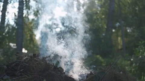 White smoke. Sun Light and Fog. Real fire smoke exploding outdoors against Stock Footage 317662494