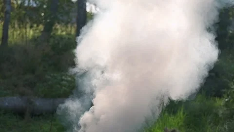 White smoke. Sun Light and Fog. Real fire smoke exploding outdoors against Stock Footage 317662508