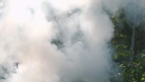 White smoke. Sun Light and Fog. Real fire smoke exploding outdoors against Stock Footage 317662517