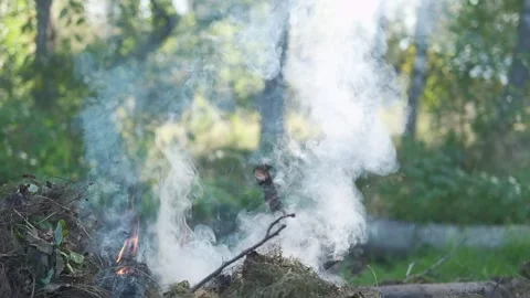 White smoke. Sun Light and Fog. Real fire smoke exploding outdoors against Stock Footage 321005241